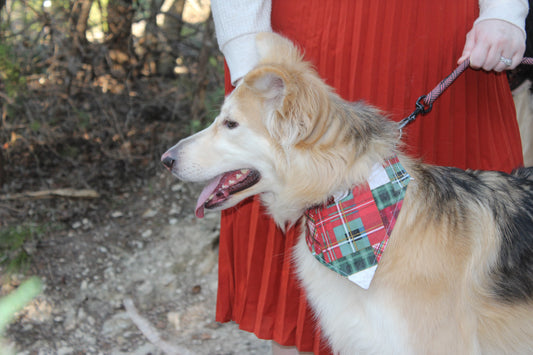 Santa's Patchwork Post Holiday Dog Bandana