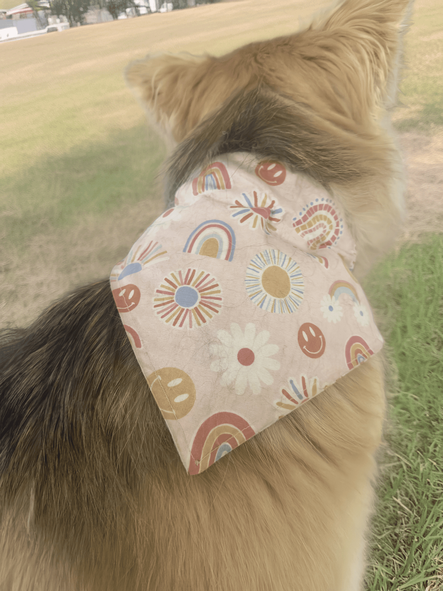 Boho Sunshine Summer Dog Bandana