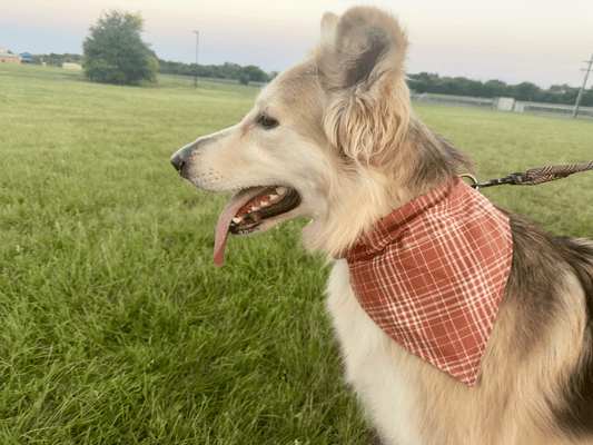 Autumn Plaid Pup Dog Bandana