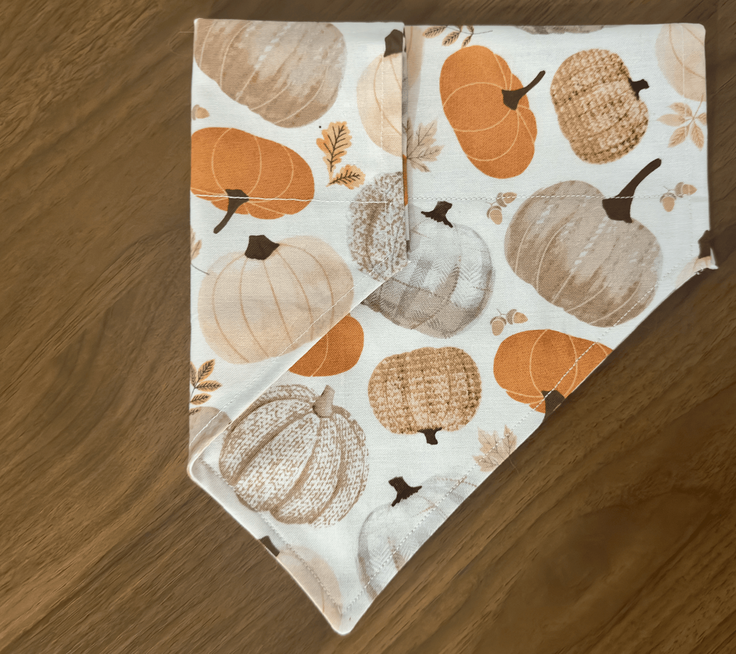 Pumpkins Please Fall Dog Bandana, Reversible
