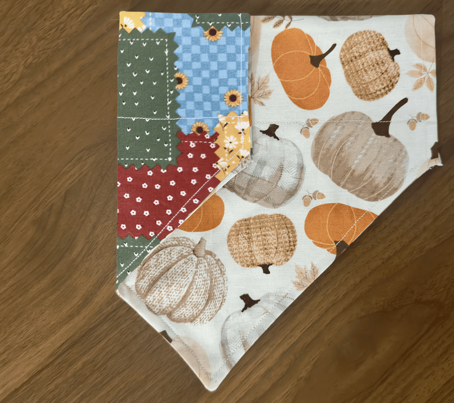 Pumpkins Please Fall Dog Bandana, Reversible