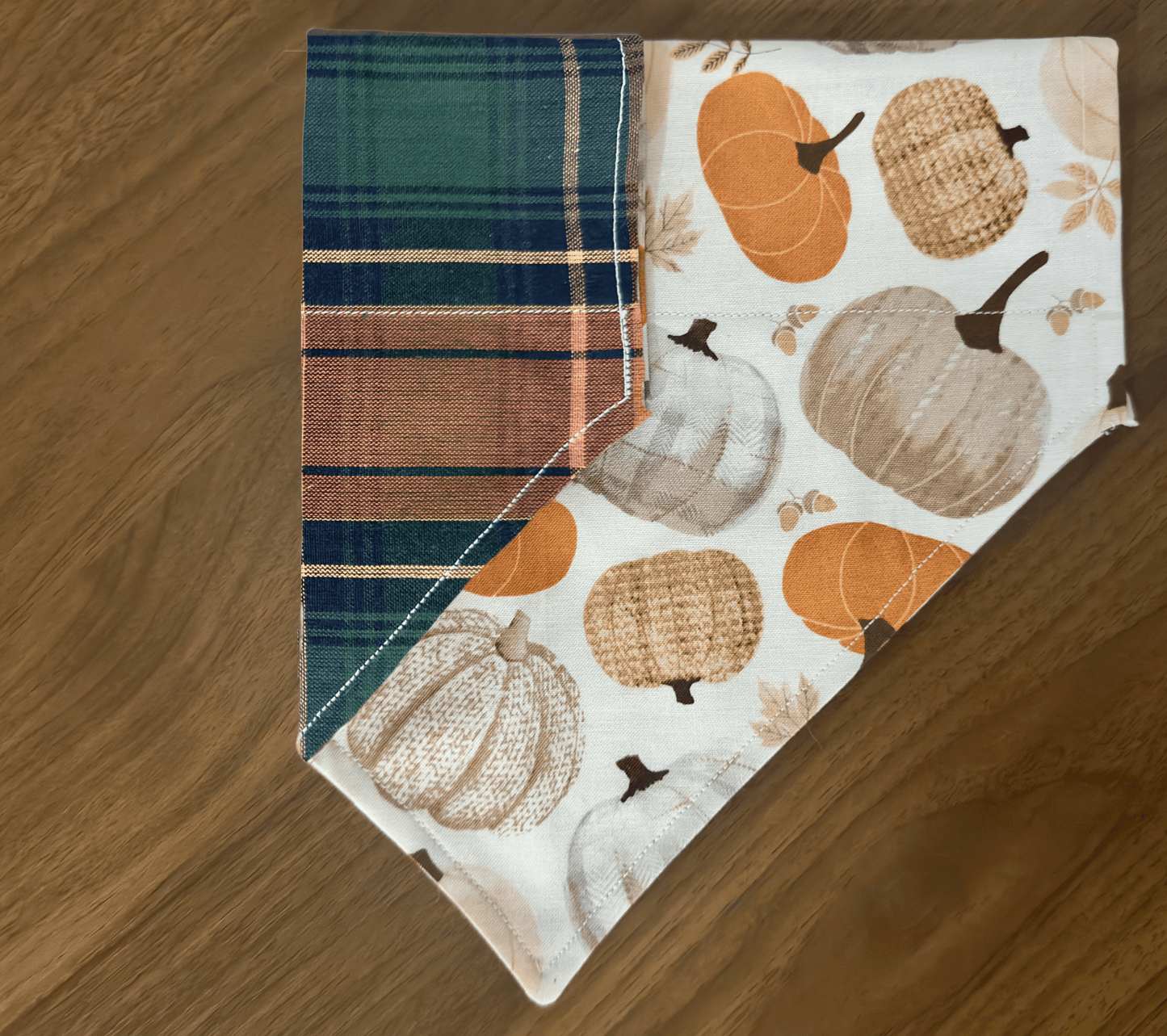 Pumpkins Please Fall Dog Bandana, Reversible