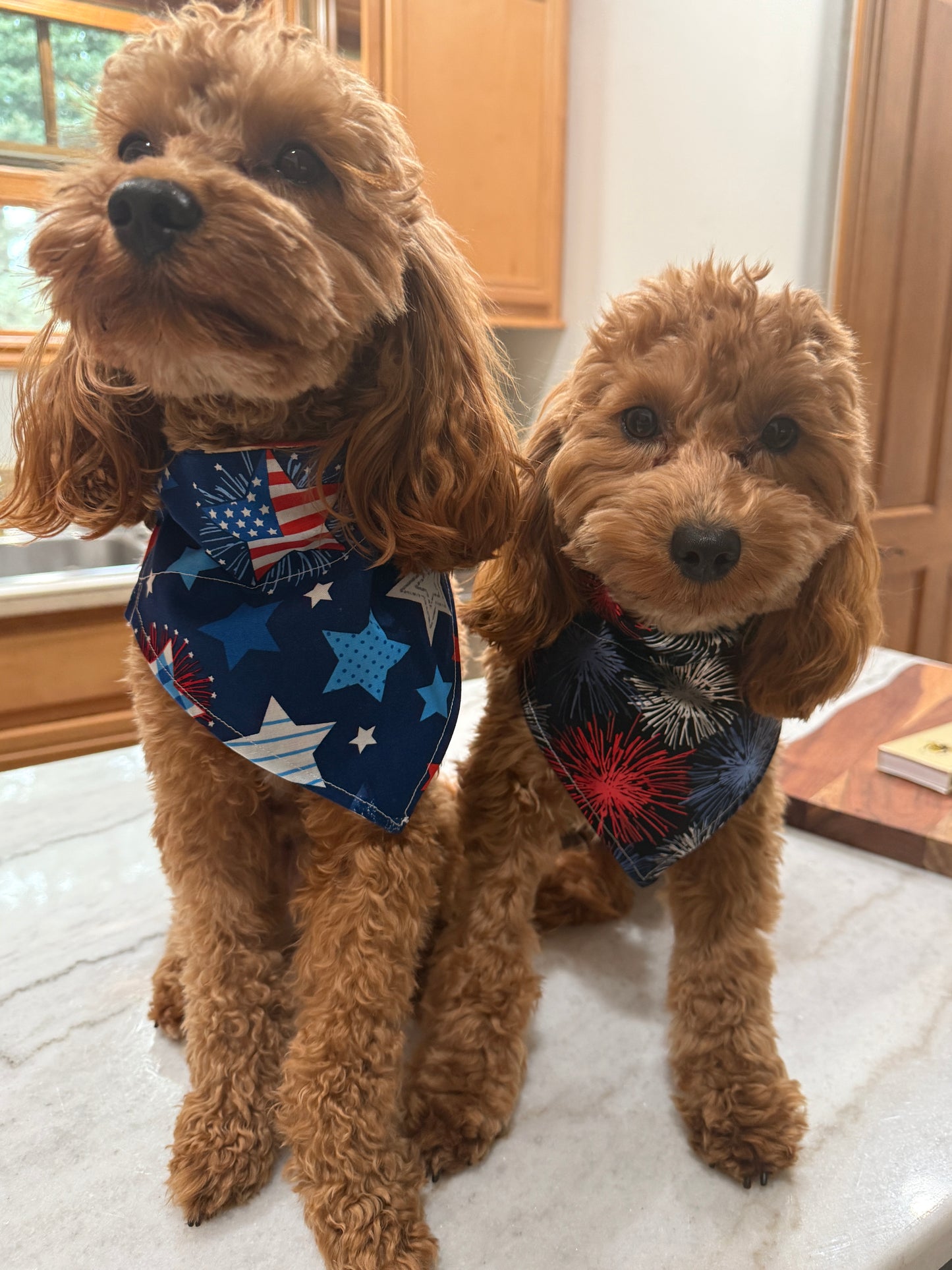 Fireworks Night Sky Bandana