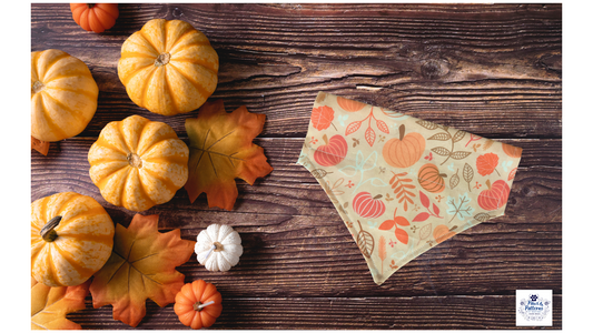 Pumpkin Parade Pup Dog Bandana