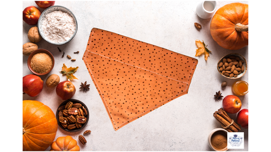 Spiced Dot Pup Dog Bandana