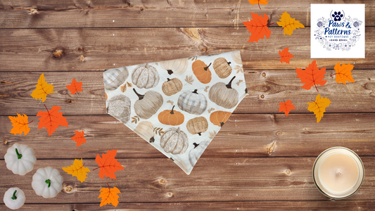 Pumpkins Please Fall Dog Bandana, Reversible