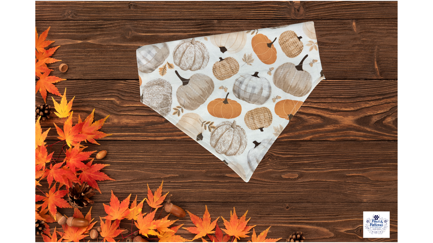 Pumpkin Patch Pup Dog Bandana