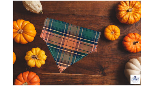 Harvest Plaid Dog Bandana