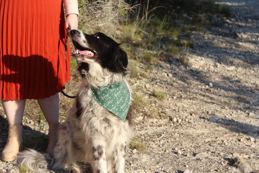 Reversible Merry and Bright Holiday Bandana
