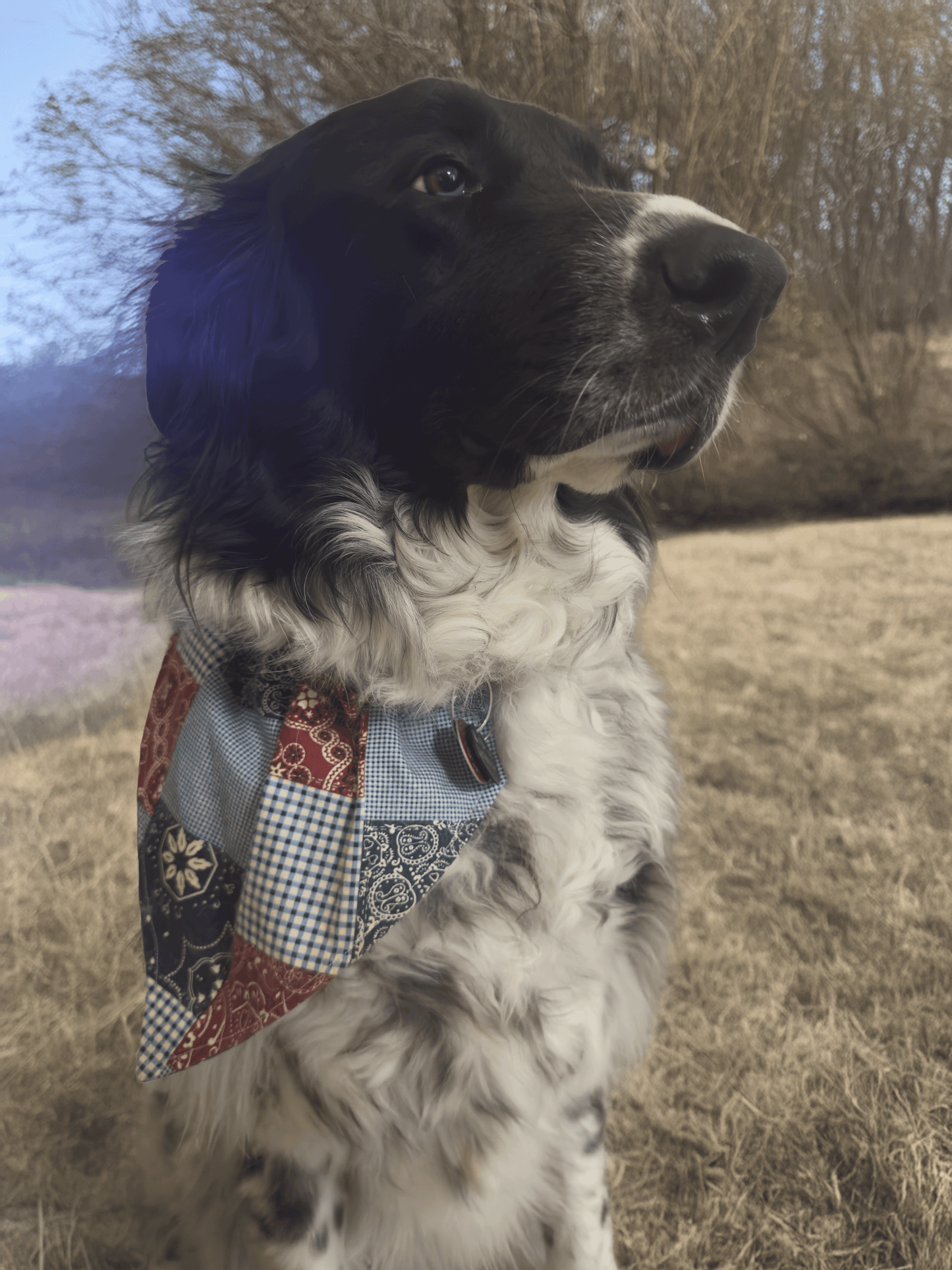 Reversible Bandana Patchwork Dog Bandana