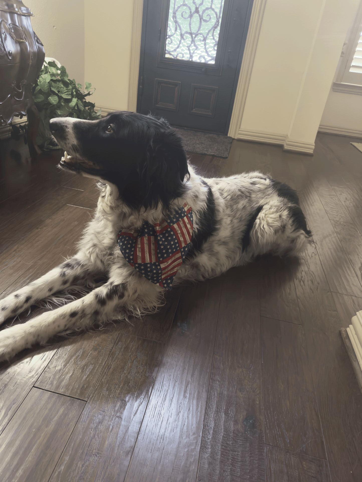 Stars and Stripes Forever Reversible 4th of July Dog Bandana