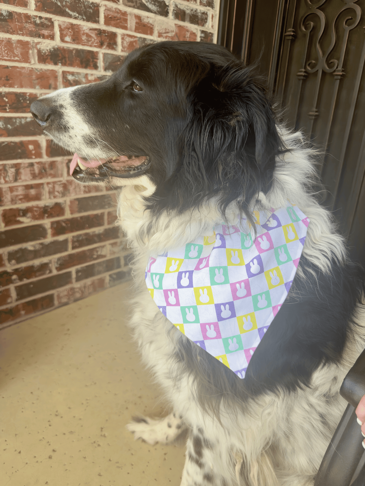 Checkered Bunny and Easter Plaid- Reversible Dog Bandana