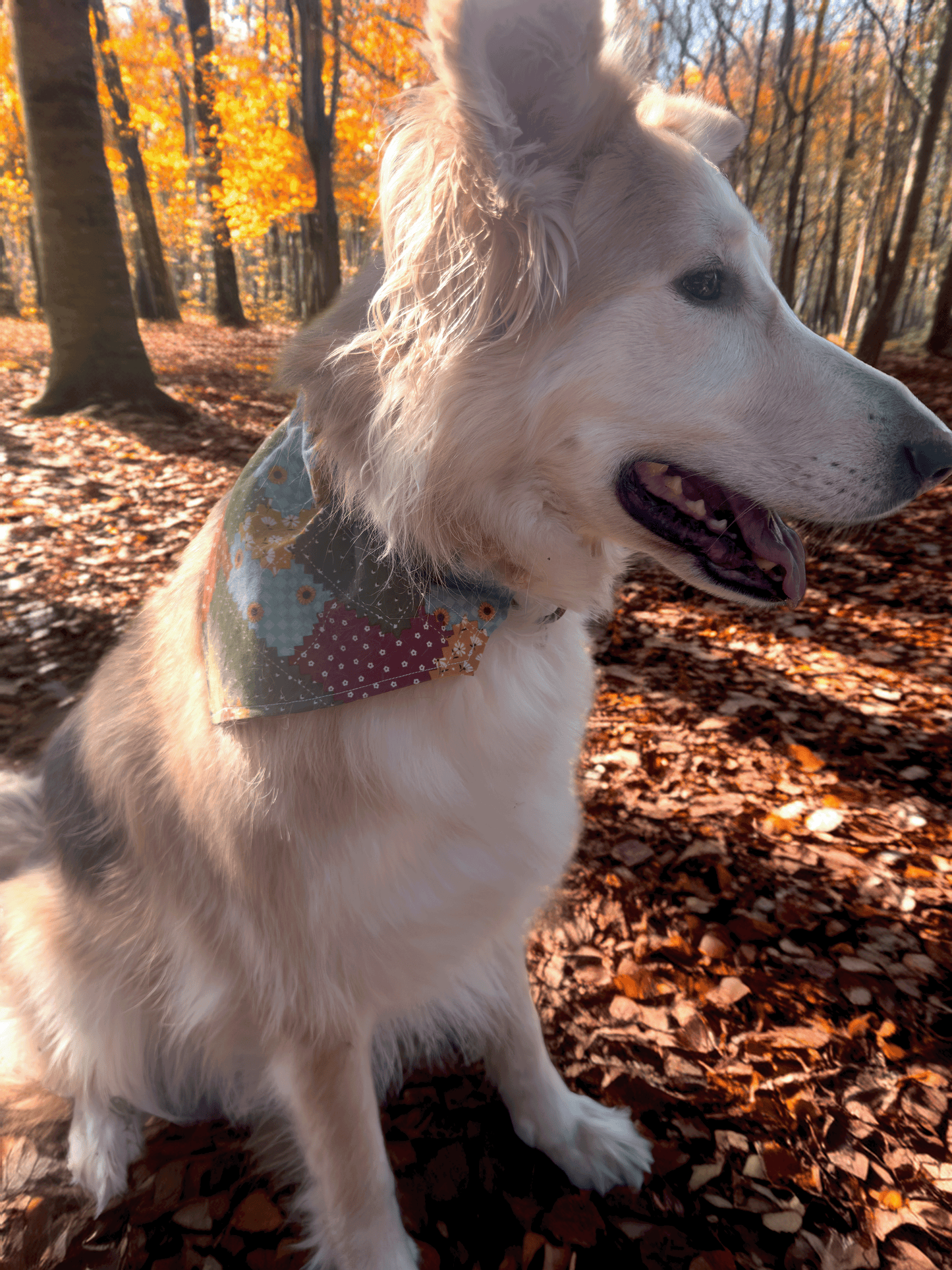 Patchwork Harvest Pup Bandana