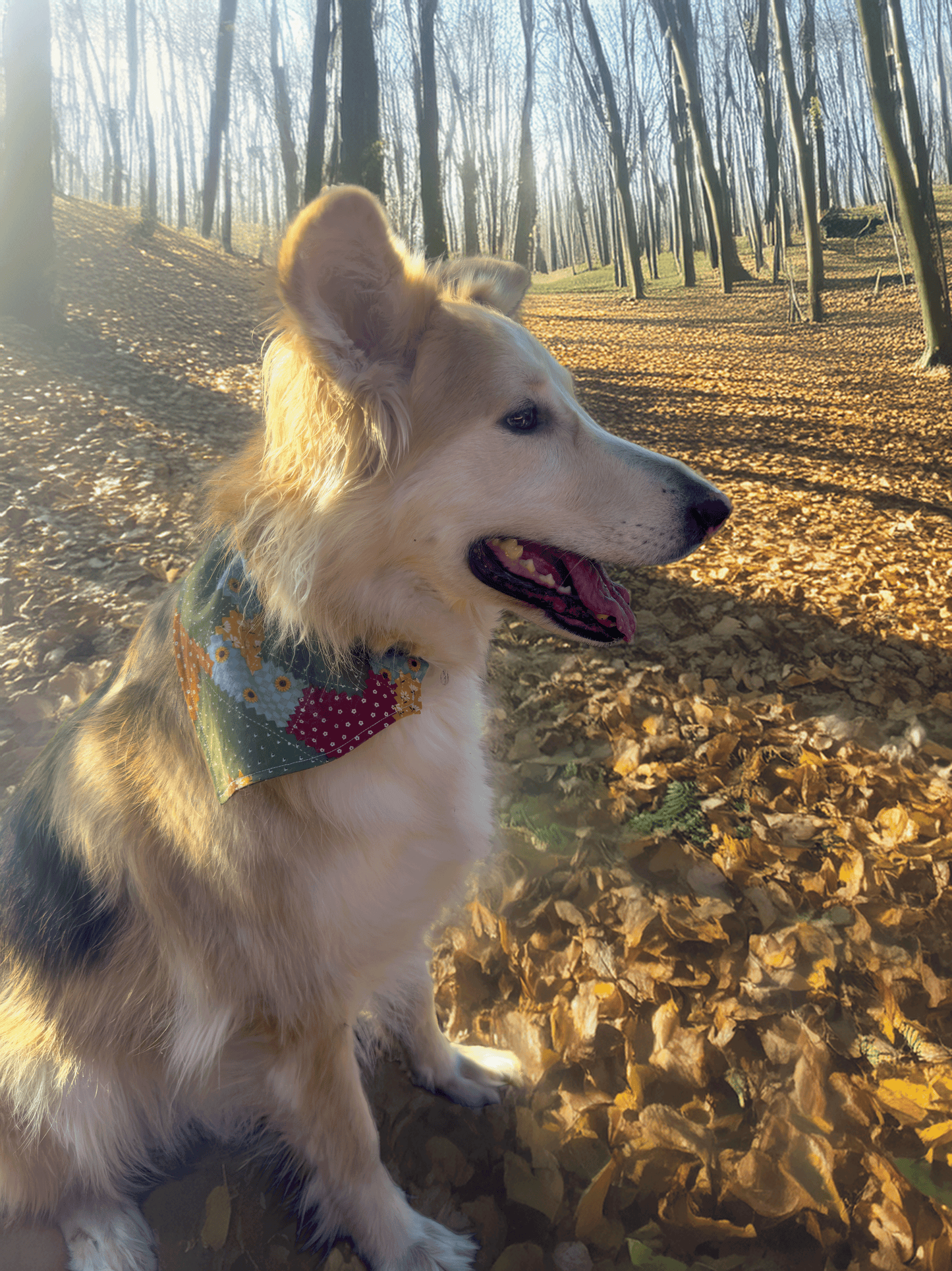 Patchwork Harvest Pup Bandana