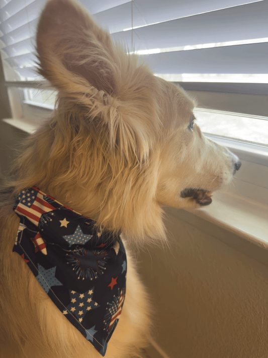 Star Spangled Classic Reversible Bandana