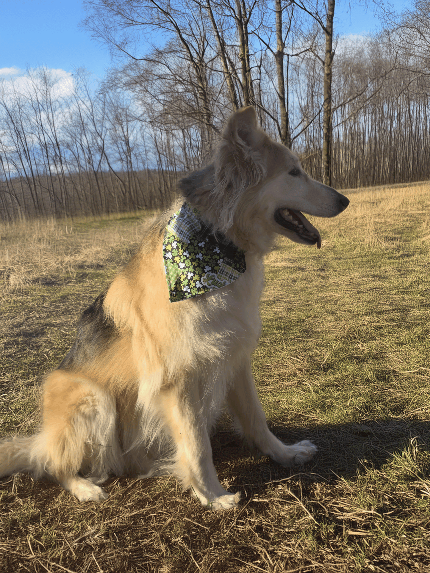 Lucky Patchwork Dog Bandana