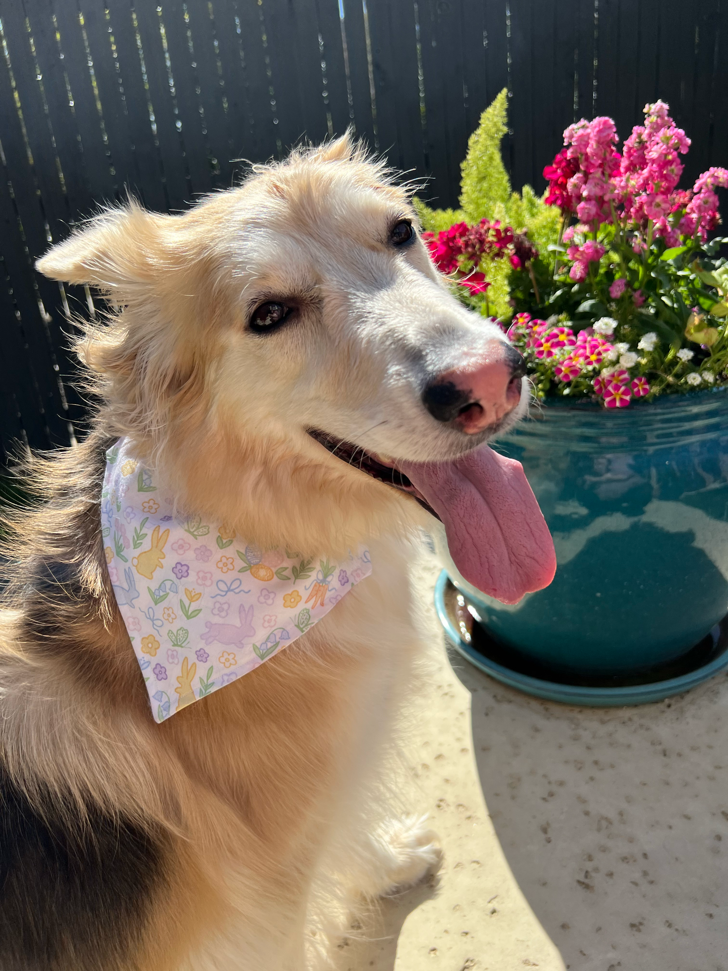 Reversible Preppy Easter Dog Bandana - Preppy Easter Front, Easter Bones Back